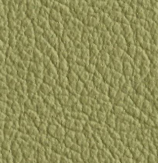 Natural Leather - PISTACHIO
