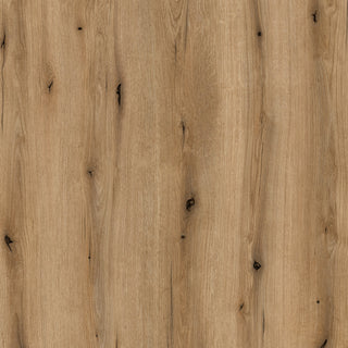 Szafka Celesto z 2 drzwiami i 4 półkami w kolorze białym i dębowym