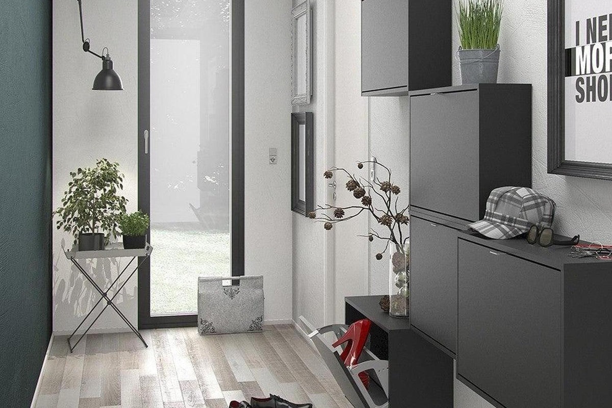 Shoe Cabinet Express Delivery 2 Tilting Doors Black