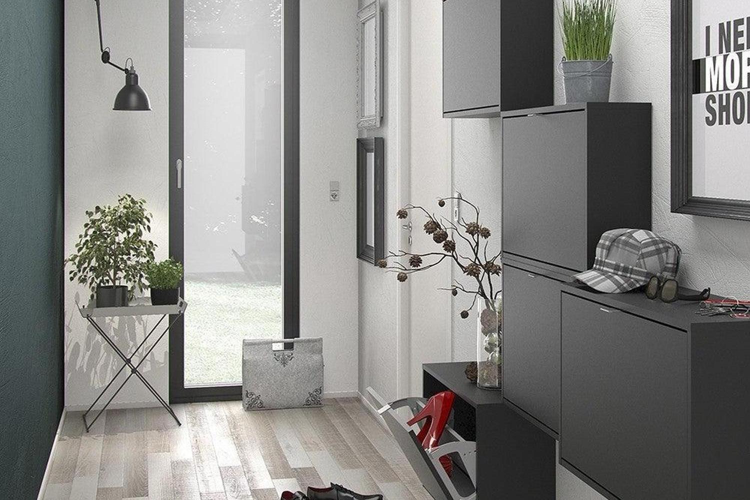 Shoe Cabinet Express Delivery 2 Tilting Doors Black