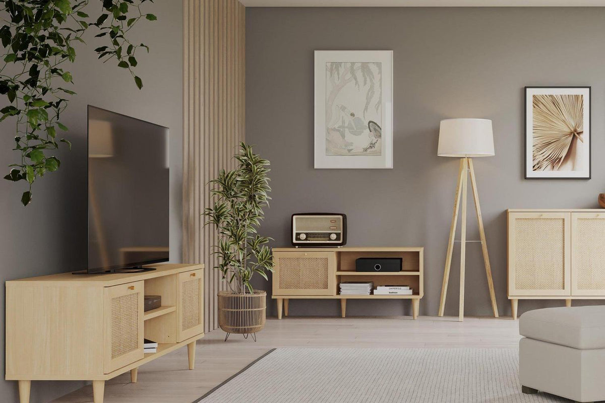 Calasetta 2 Door 1 Shelf Tv Unit In Rattan