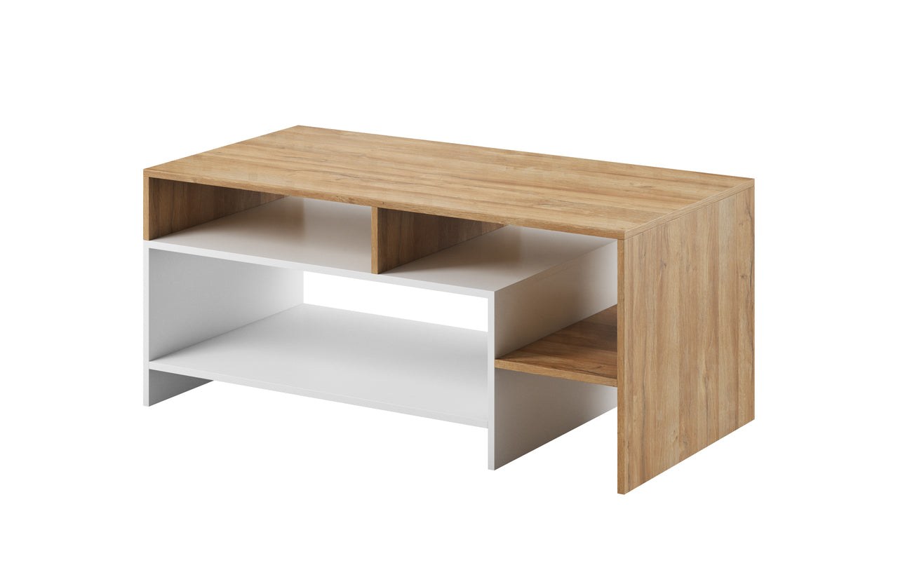 Alva Coffee Table 120