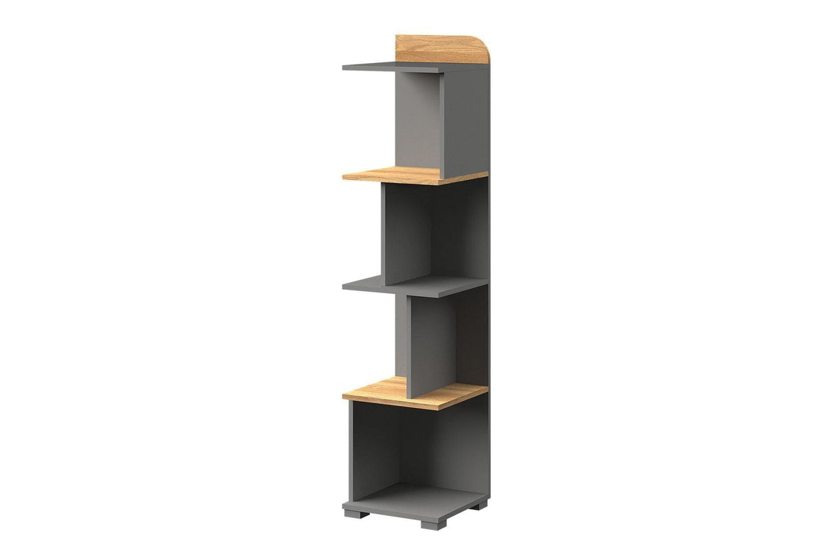 Carini Bookshelf 35