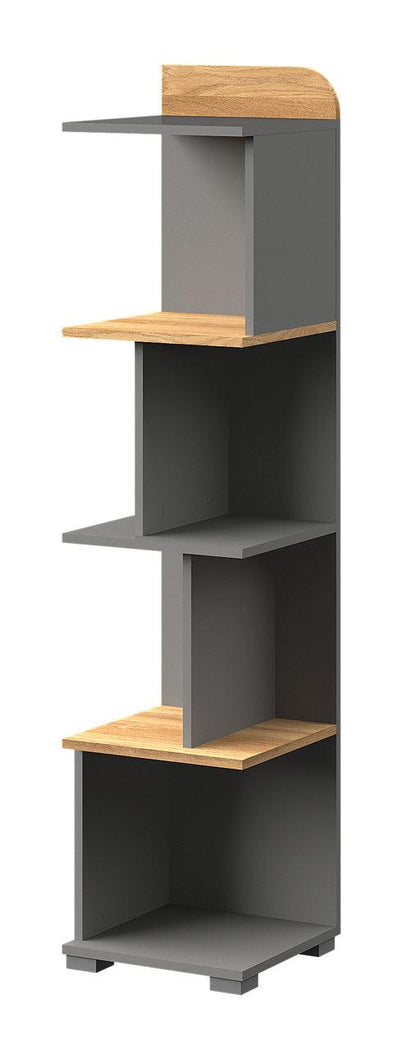 Carini Bookshelf 35