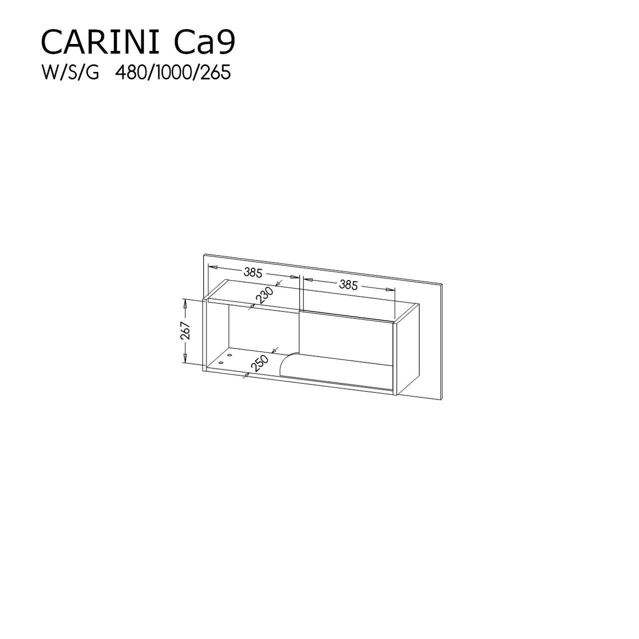 Carini Shelf 100