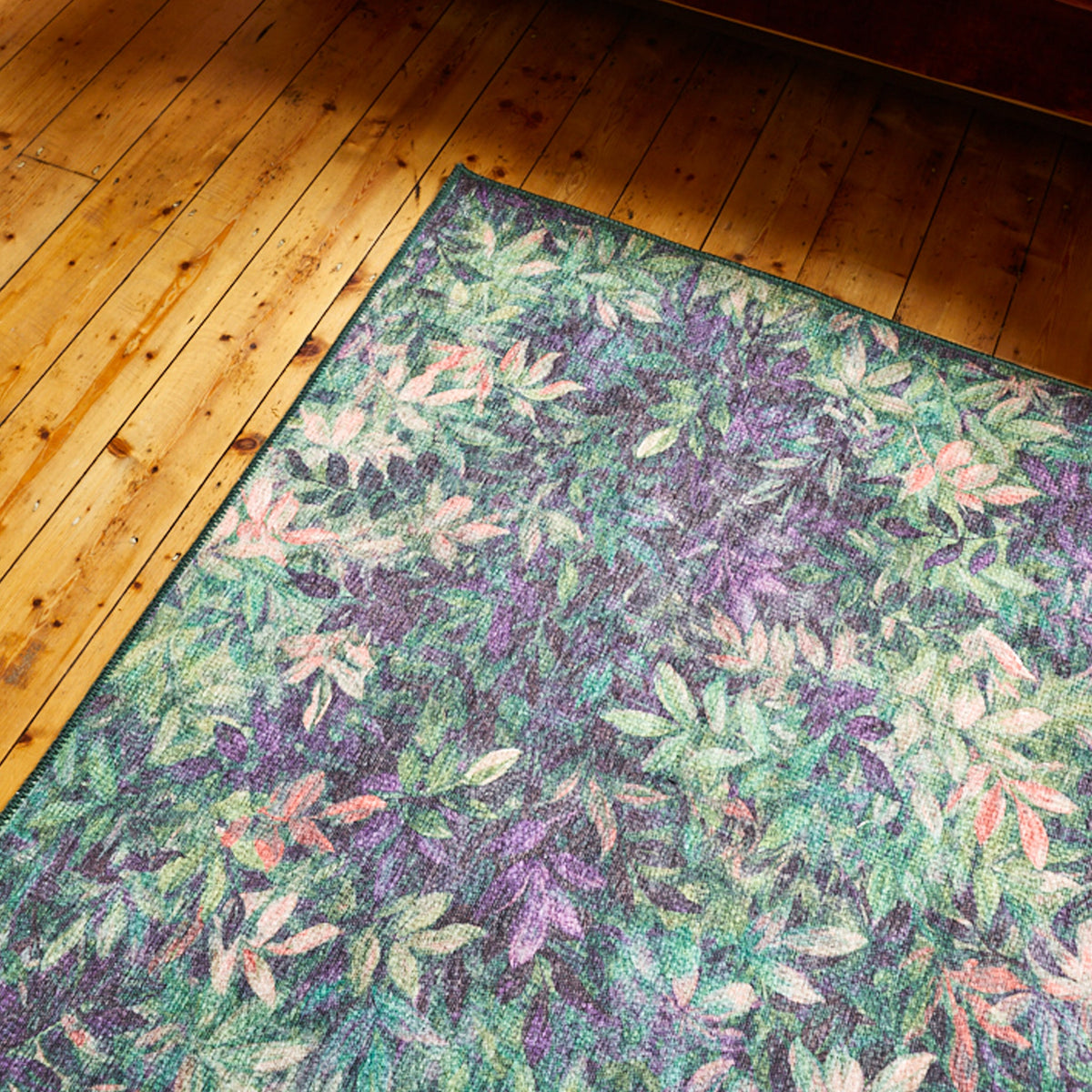 Clarke & Clarke Congo Washable Rug