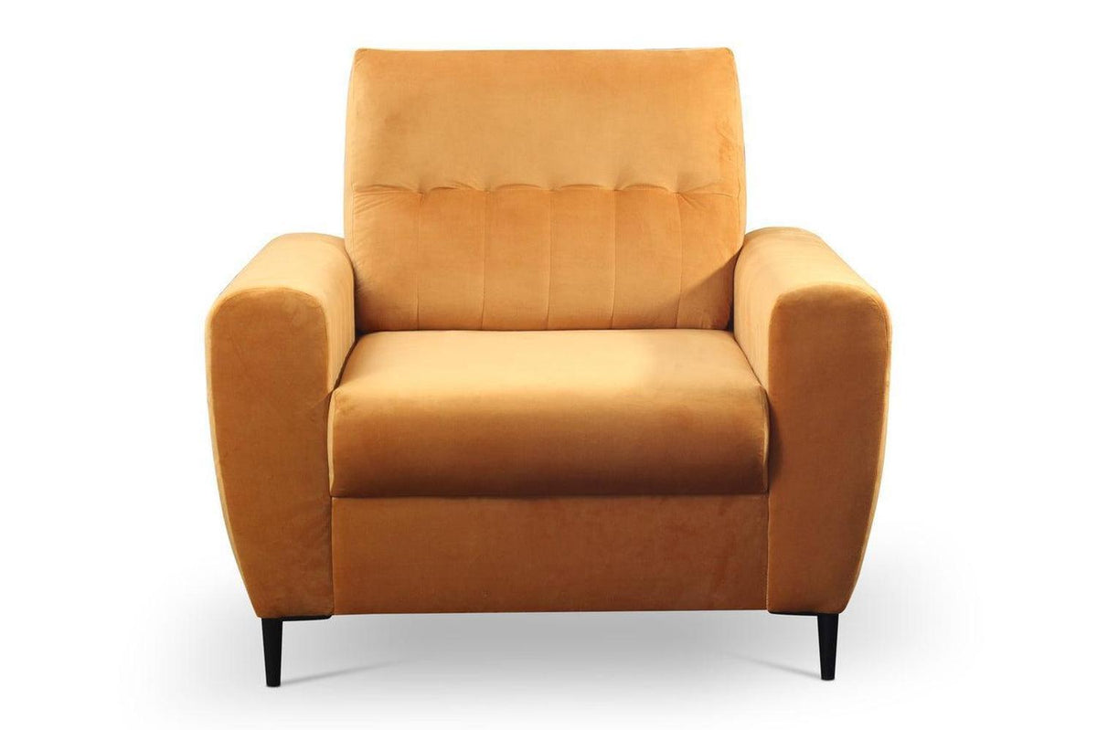 Dalia Express Delivery Armchair In Kronos 04