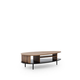 Vasina Coffee Table