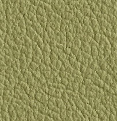 Natural Leather - PISTACHIO