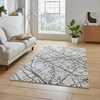Artemis B8403A Luxury Gold and Silver Area Rug