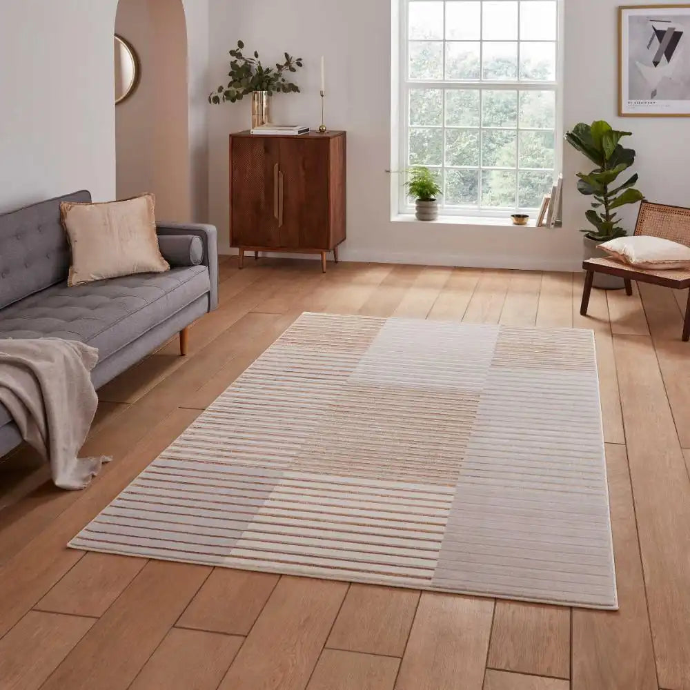 Apollo Think E2681 Bronze Grey Rug